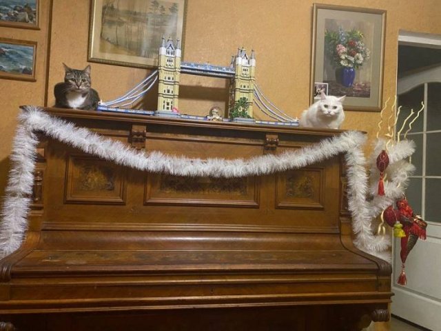 Acid Picdump. Part 1 (90 pics)