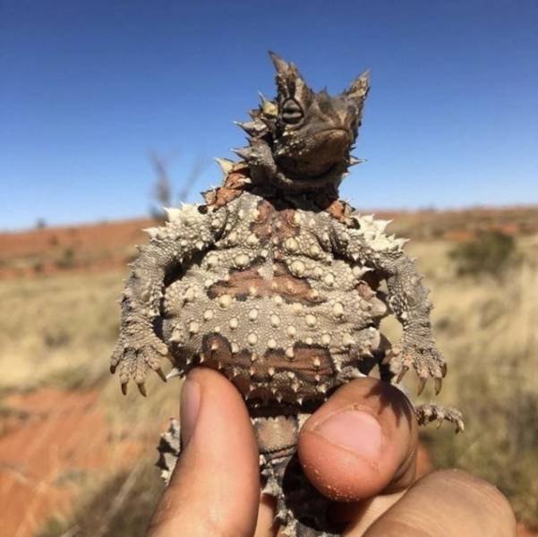Acid Picdump. Part 1 (90 pics)