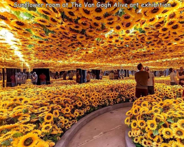 Acid Picdump. Part 1 (90 pics)