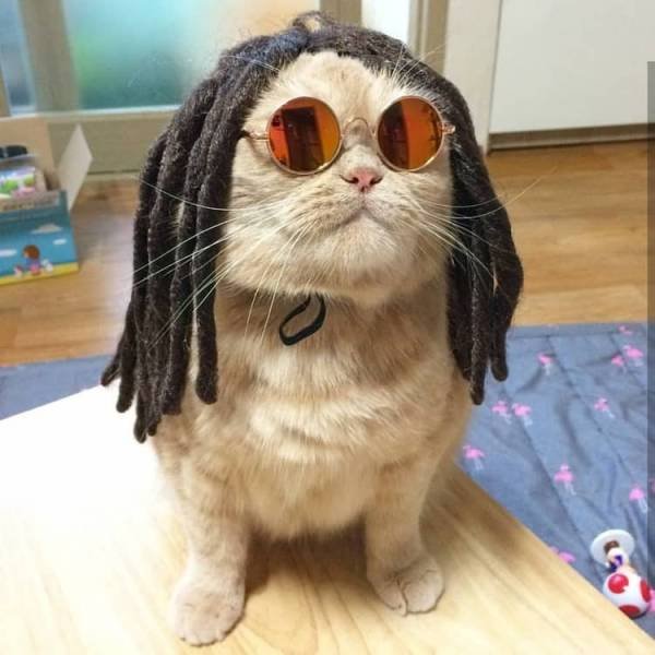 Acid Picdump. Part 1 (90 pics)