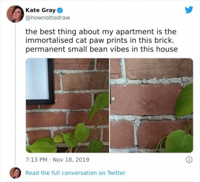 Wholesome Pictures (50 pics)