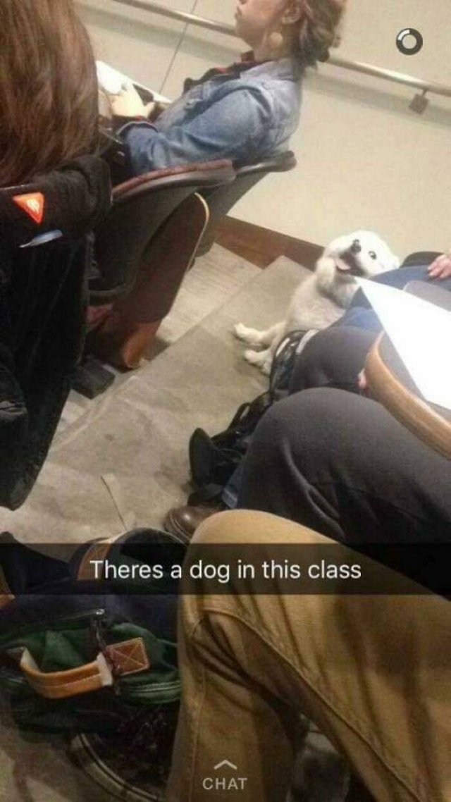 Wholesome Pictures (50 pics)