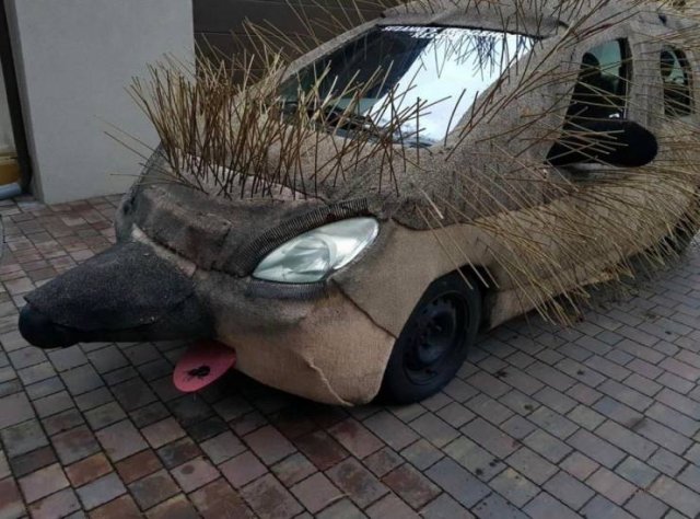 Weird Transport (41 pics)