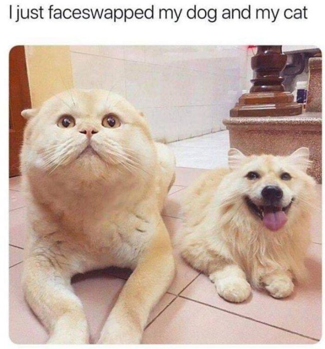 Wholesome Pictures (50 pics)