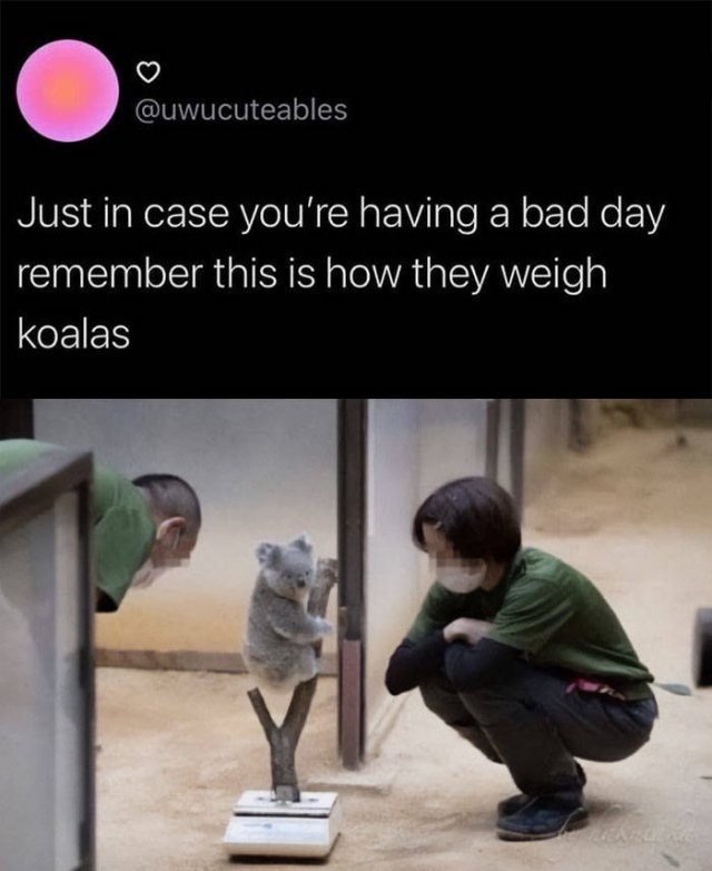 Wholesome Pictures (50 pics)