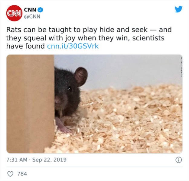 Wholesome Pictures (50 pics)