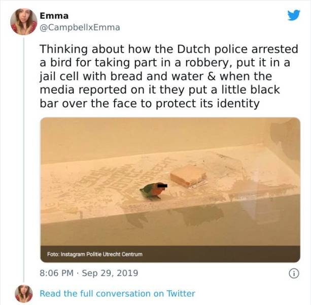 Wholesome Pictures (50 pics)
