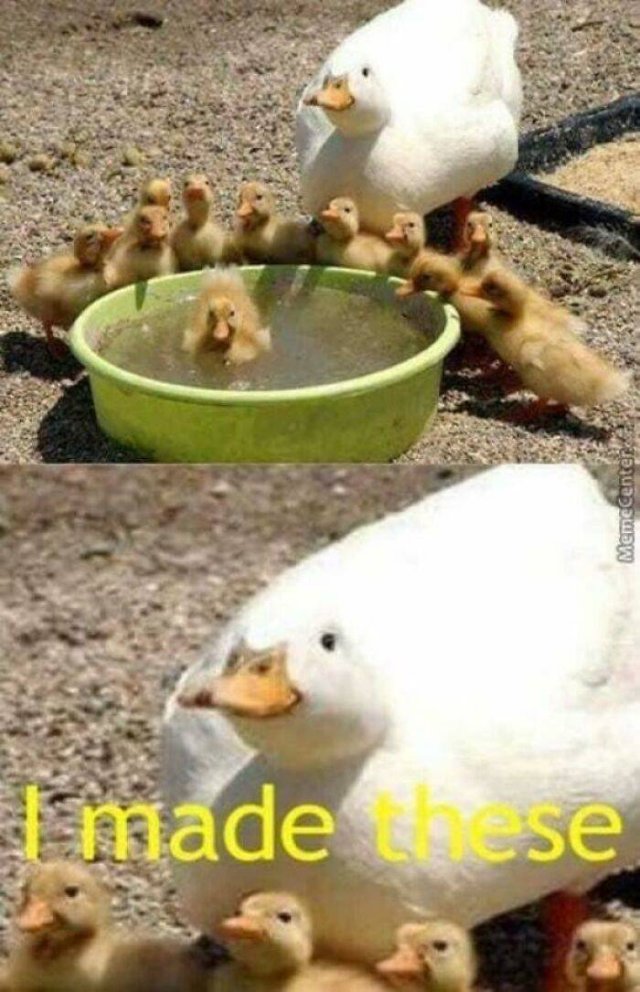 Wholesome Pictures (50 pics)