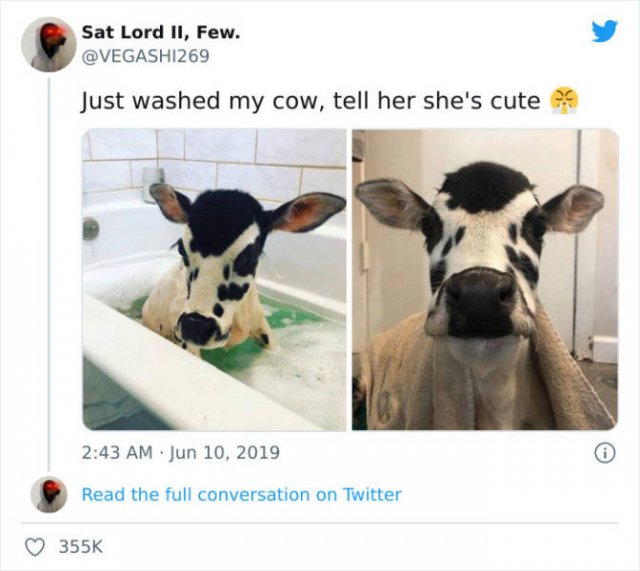 Wholesome Pictures (50 pics)