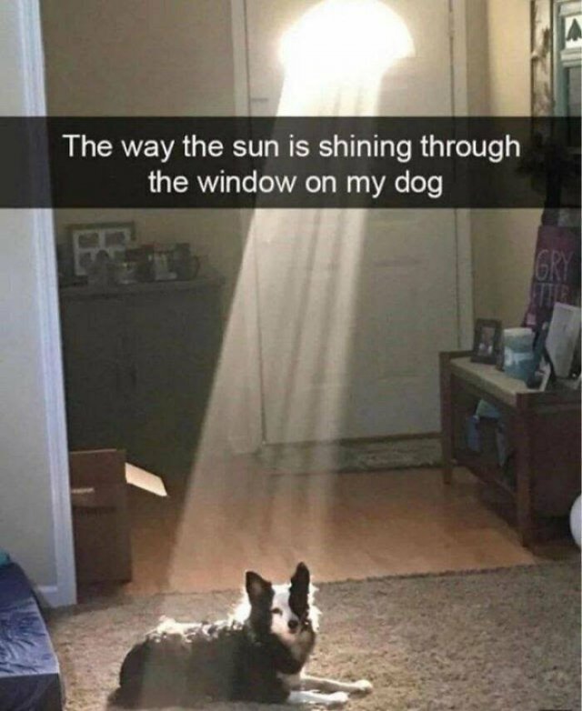 Wholesome Pictures (50 pics)