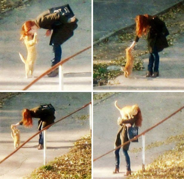 Wholesome Pictures (50 pics)