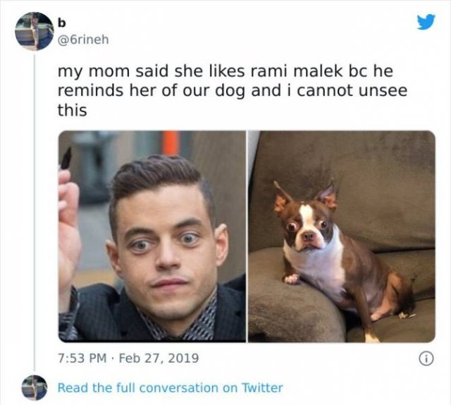 Wholesome Pictures (50 pics)