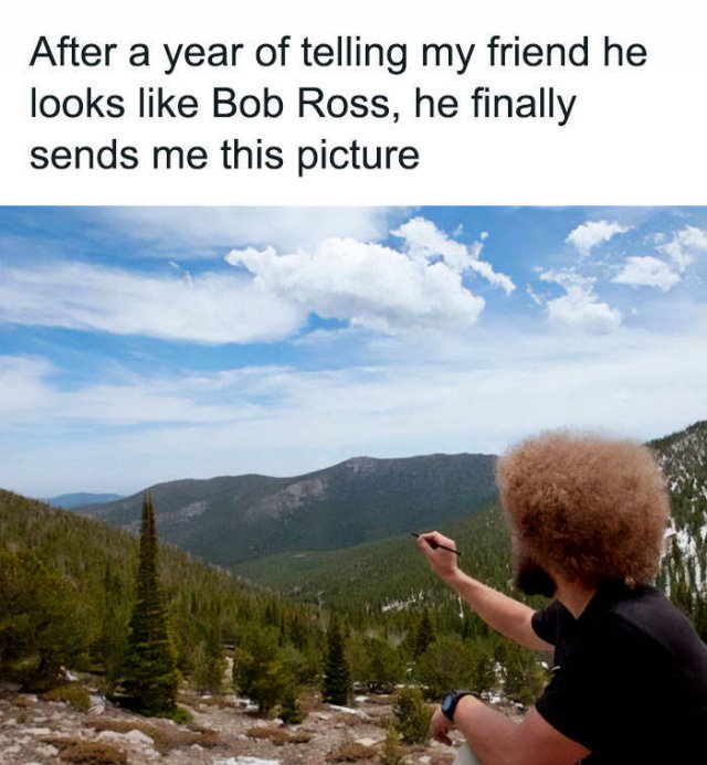 Wholesome Pictures (50 pics)
