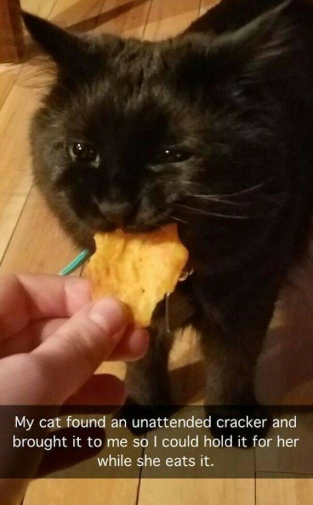 Wholesome Pictures (50 pics)