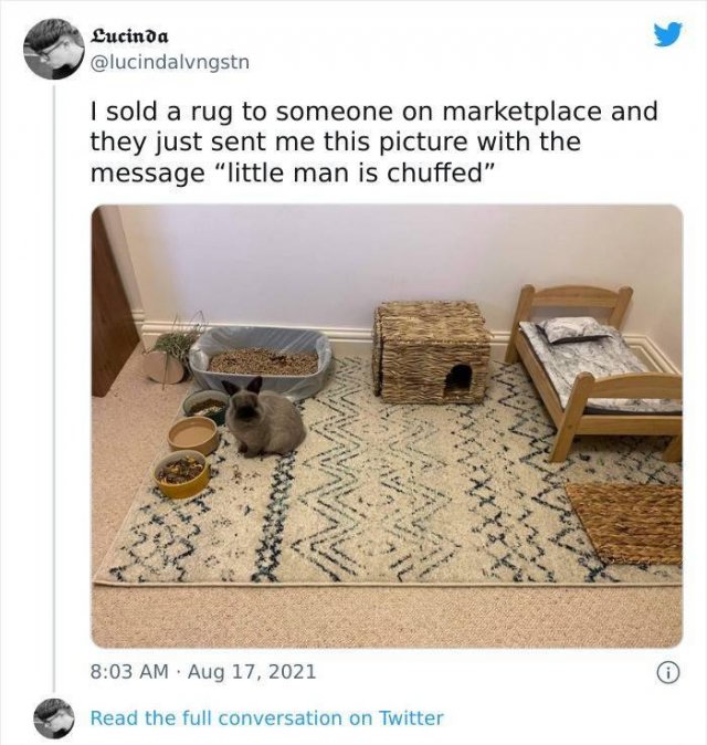 Wholesome Pictures (50 pics)