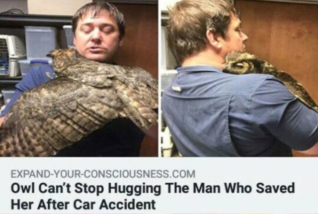 Wholesome Pictures (50 pics)
