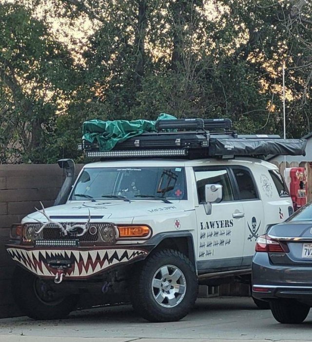 Weird Transport (41 pics)