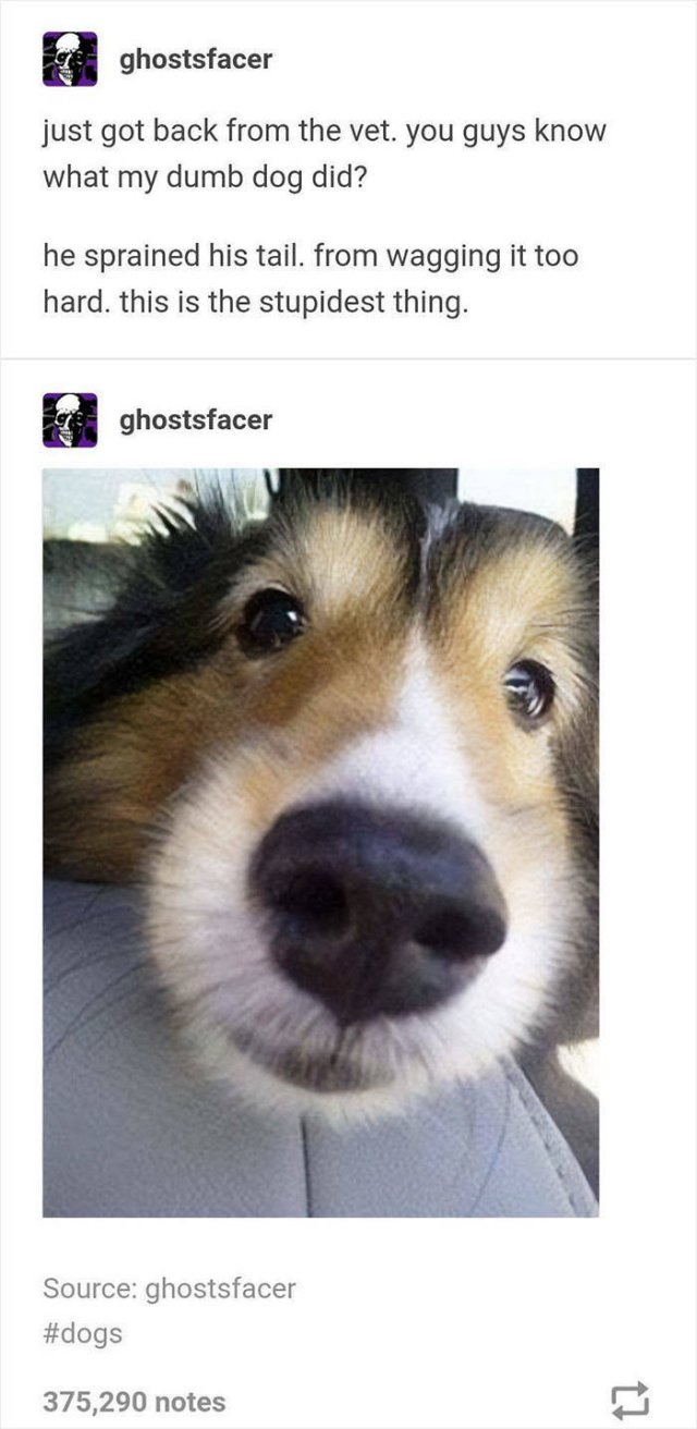 Wholesome Pictures (50 pics)