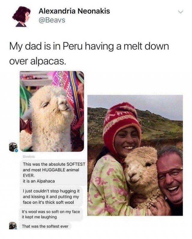 Wholesome Pictures (50 pics)
