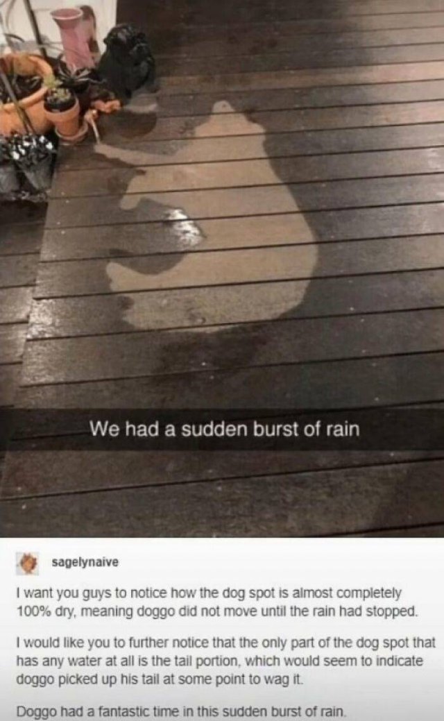 Wholesome Pictures (50 pics)