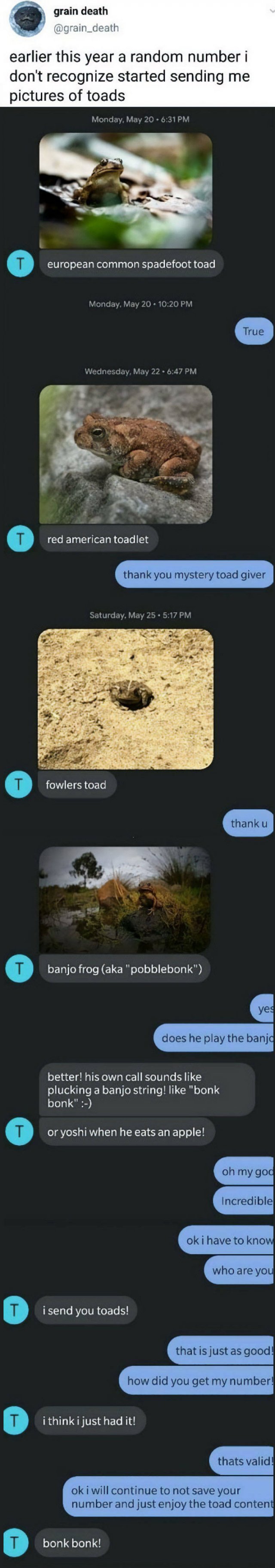 Wholesome Pictures (50 pics)