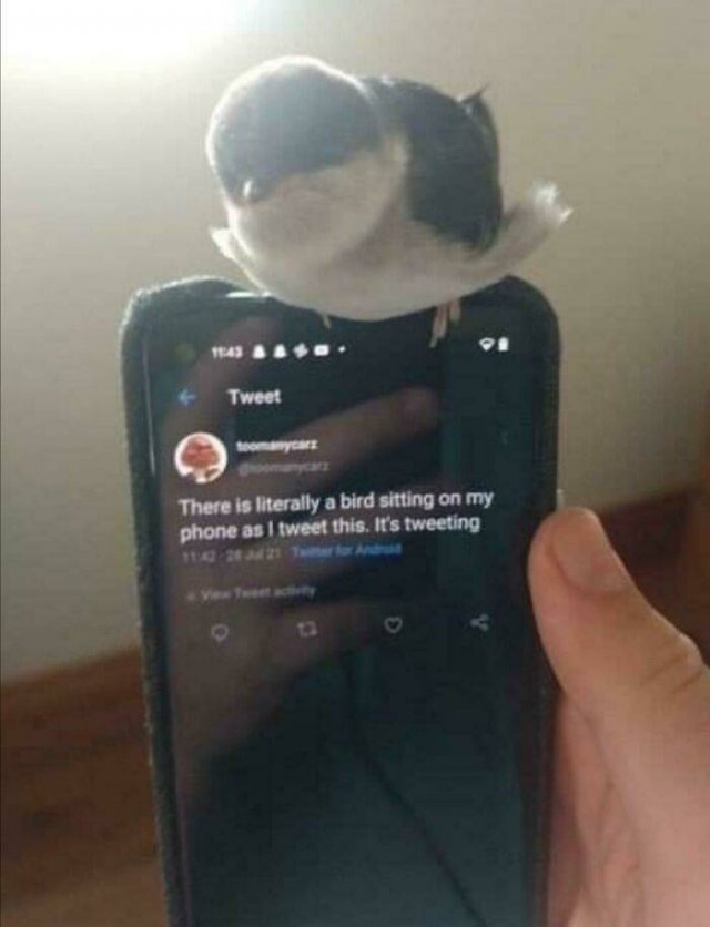 Wholesome Pictures (50 pics)