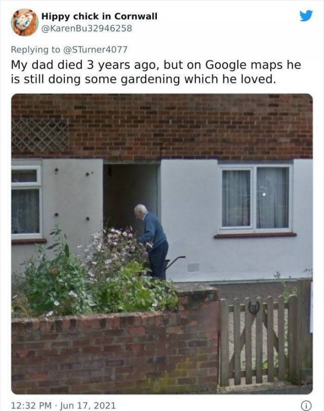 Wholesome Pictures (50 pics)
