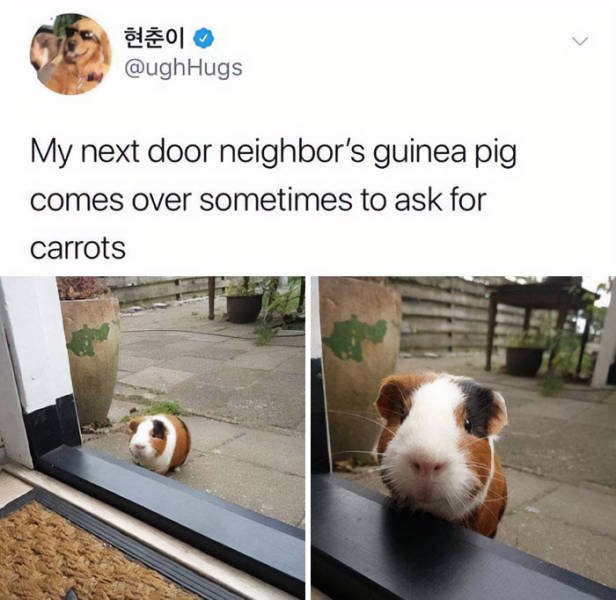 Wholesome Pictures (50 pics)
