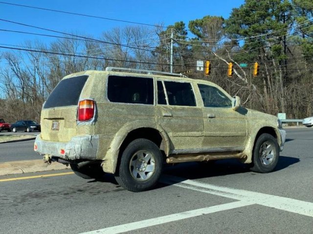 Weird Transport (41 pics)