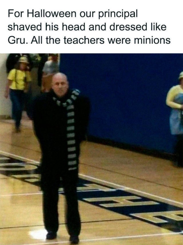 Wholesome Pictures (50 pics)
