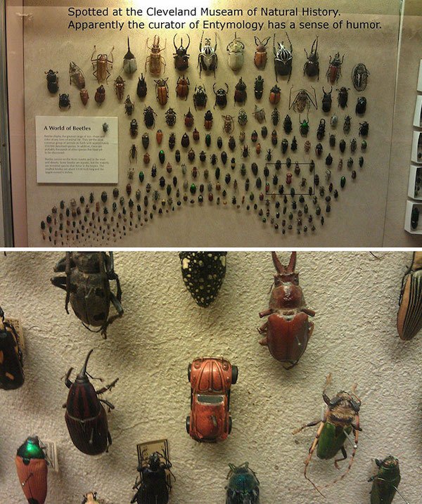 Fun In Museums (27 pics)