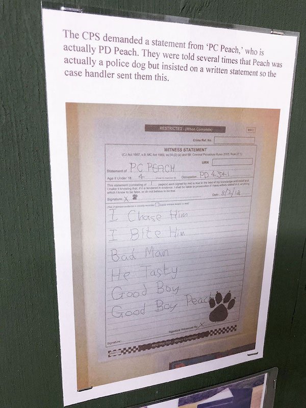 Fun In Museums (27 pics)