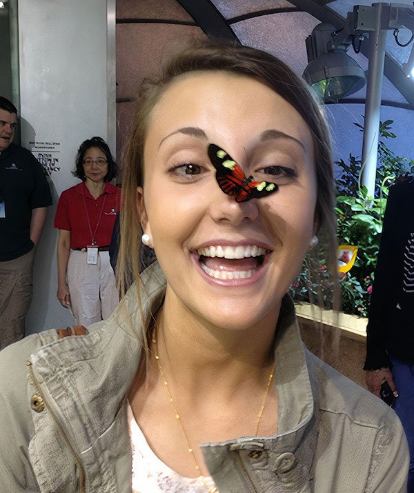 Fun In Museums (27 pics)
