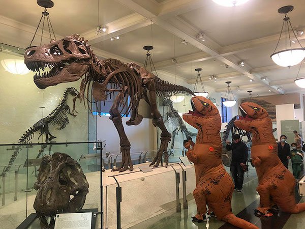 Fun In Museums (27 pics)