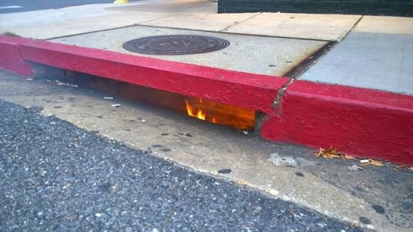 Weird Pictures (32 pics)