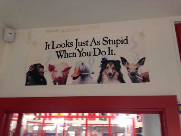 Great Teachers (30 pics)