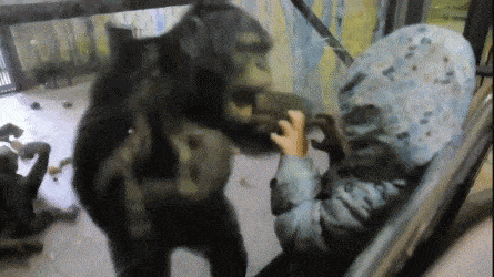 Acid Gifdump, January 17 (25 gifs)