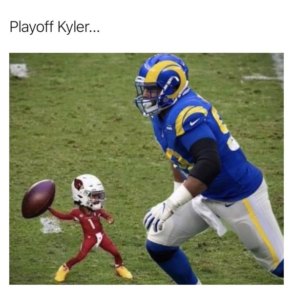 NFL Memes (48 pics)