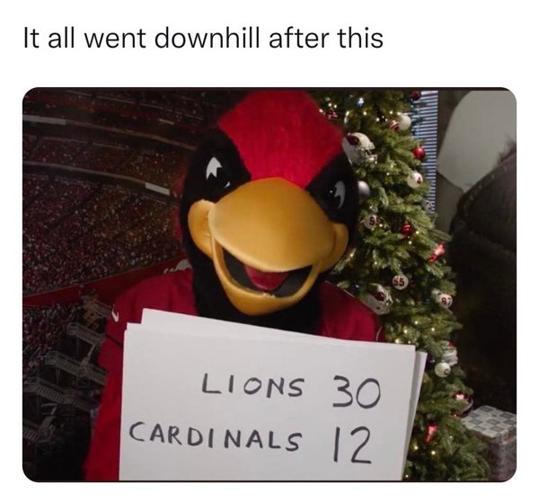 NFL Memes (48 pics)
