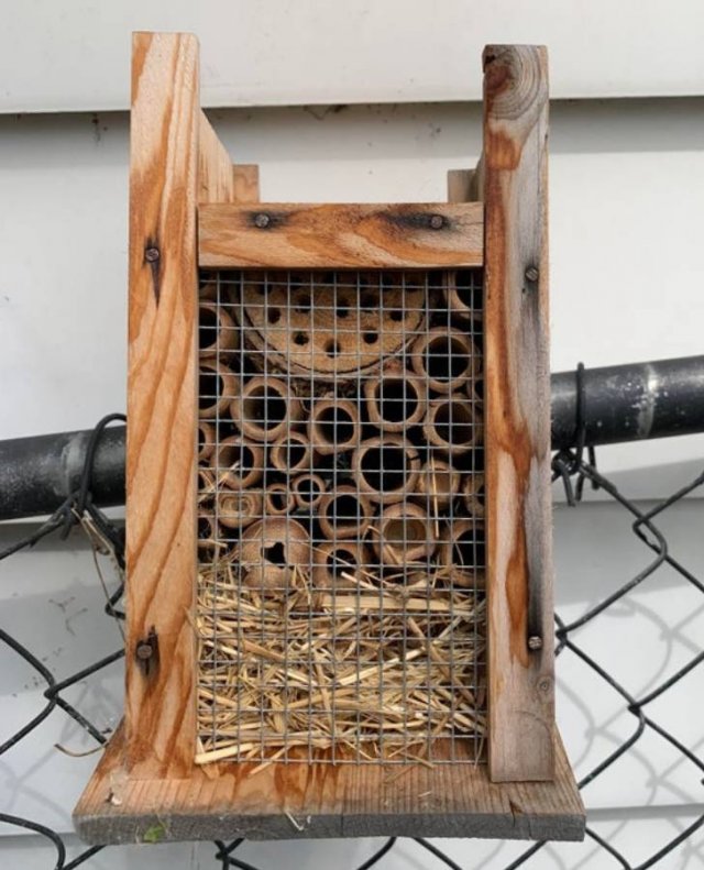 What Are These Things For? (15 pics) What Are These Things For? (15 pics)