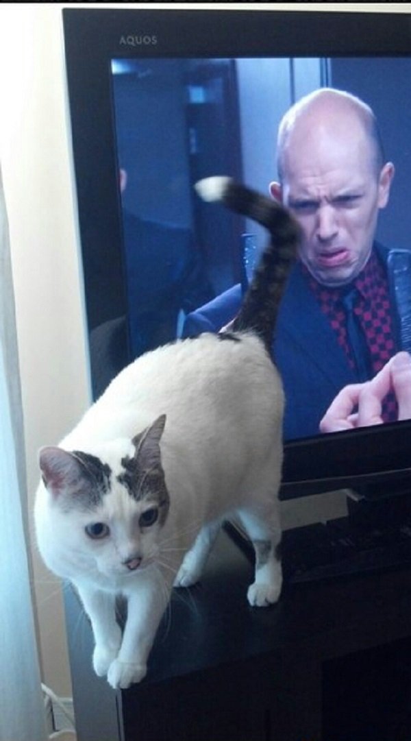 Right Moment (27 pics)