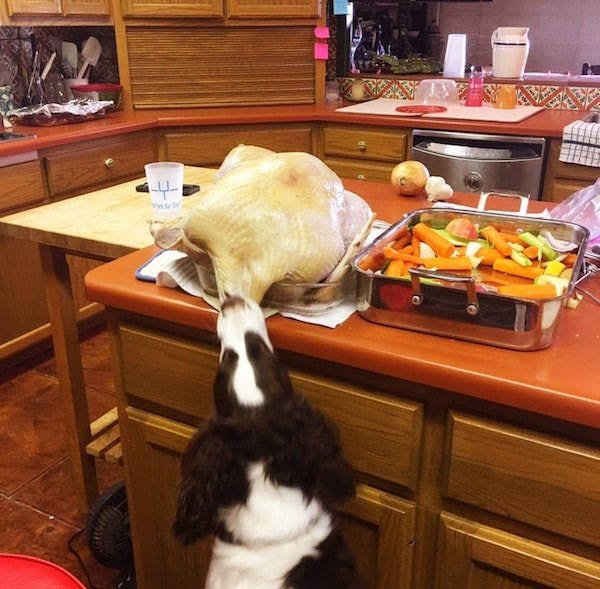 Right Moment (27 pics)