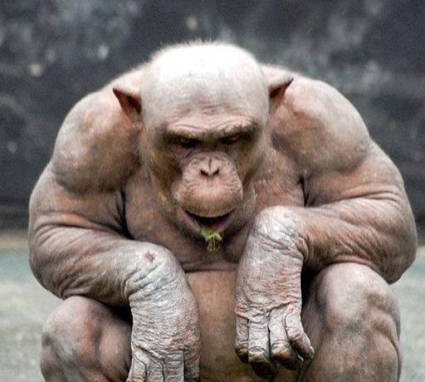 Acid Picdump. Part 2 (82 pics)