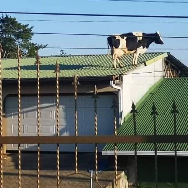 Acid Picdump. Part 2 (82 pics)