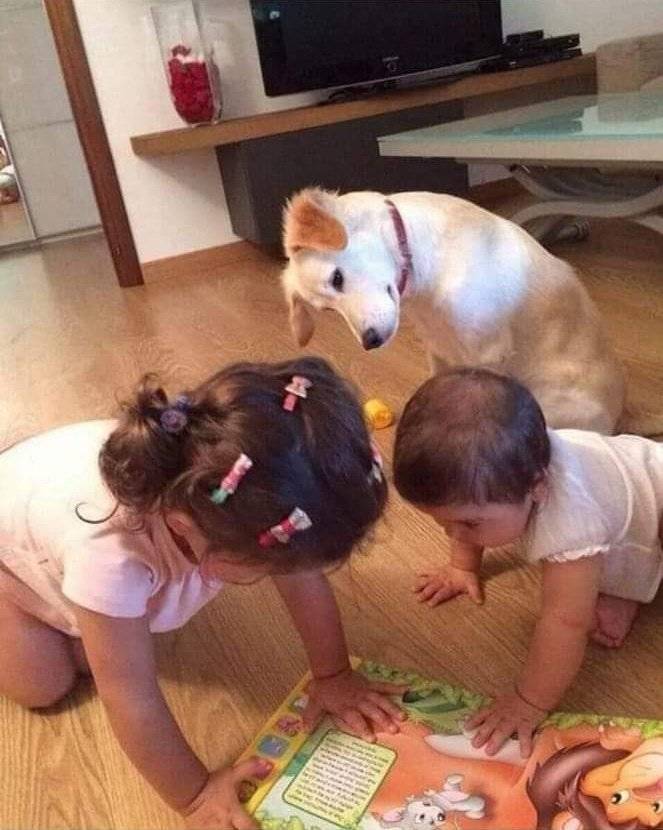 Acid Picdump. Part 2 (82 pics)