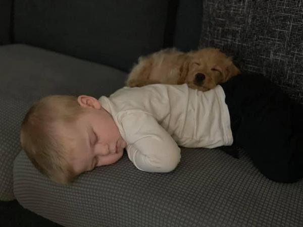 Adorable Animals (17 pics)
