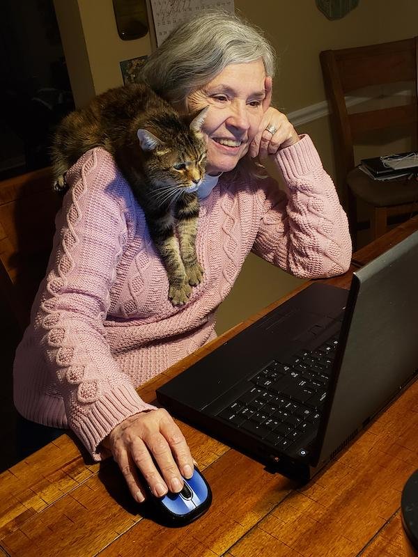 Adorable Animals (17 pics)