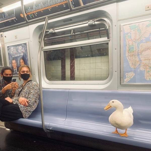 Daily Picdump. Part 2 (47 pics)