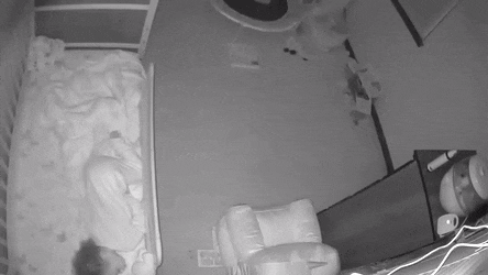 Acid Gifdump, January 20 (25 gifs)