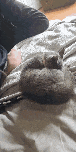 Acid Gifdump, January 20 (25 gifs)